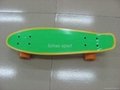 22.5''x6'' PP plastic skateboard 5