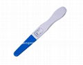 HCG Pregnancy Test 1