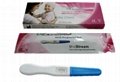 HCG Pregnancy Test 3