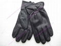 Mens Sheep Skin PC Leather Glove with TR Lining 3