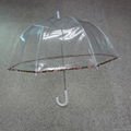 Dome Shape Transparent Bubble Umbrella