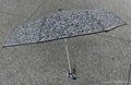 3 Folding Transparent POE Umbrella 3