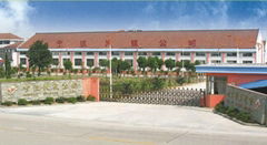 Ningbo Tianyin Electric Co., Ltd.