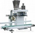 Frequency control auger packing scale 1