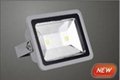 100W LED FIood Light（