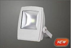 50W LED FIood Light