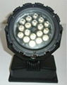 LED Landscape Light 1