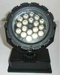 LED Landscape Light