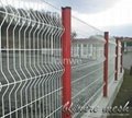 Wire Mesh Fence/Fence Netting/Mesh Fence/Welded Wire Mesh Fence 4