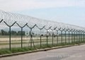 Wire Mesh Fence/Fence Netting/Mesh Fence/Welded Wire Mesh Fence 5