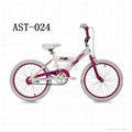 20-Inch Wheels Girl's Bike