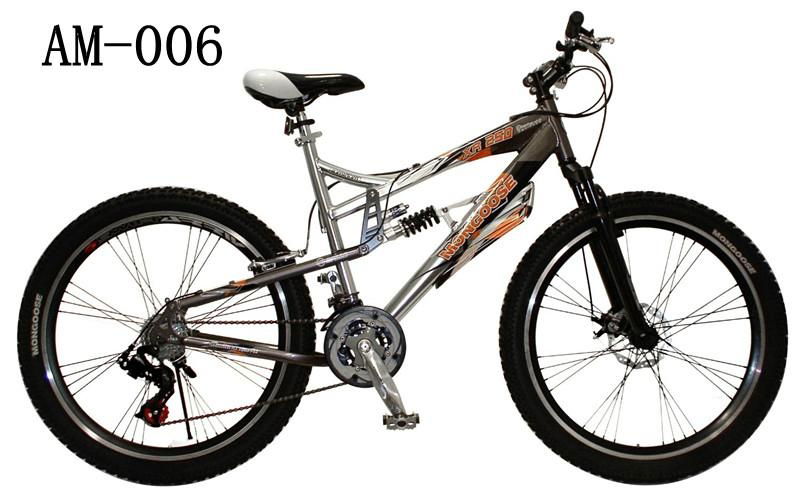 26-Inch Girl's Bike 3