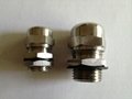 M20 brass cable gland 3