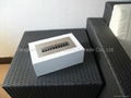 Ethanol Fireboxes/ Burners 1