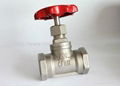 stainless steel globe valve 1