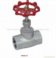 stainless steel globe valve 2