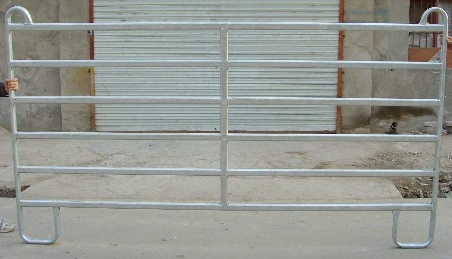 cattle panel/sheep panel/horse panel 4
