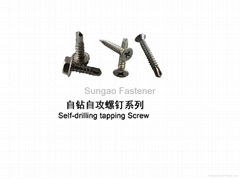 Self-drilling tapping Screw