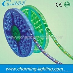 Digital flexible strip light for decoration