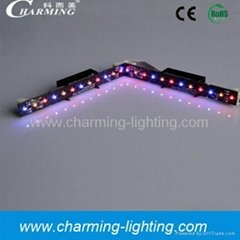 Color-changing LED smd Mini Strip Lights