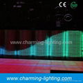 Digital flexible strip light for decoration 3