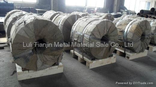 armored cable steel strips