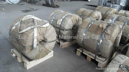 armored cable steel strips 2