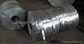 galvanized / galvanize strip