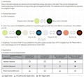 Noctilucent powder pigment  2