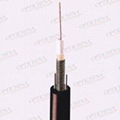 Central Loose Tube Outdoor Fiber Optic