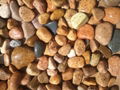 Iaspis tumbled stone natural mix color
