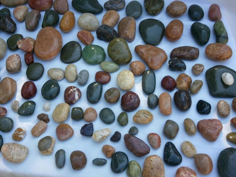 Decorative polished pebbles mix color any size 4