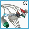 Siemens One -piece 5 lead ECG cable with leadwires 2