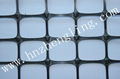 Geogrid 1