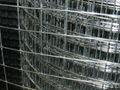 welded wire mesh 1