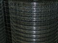 welded wire mesh 3