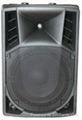 molded cabinet speaker