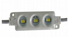 LED Waterproof Injuction Module Light SMD5630 3LED PW/WW