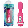 18 function vibrating Private Secret® Her Flexing Massagers mini AV vibrators