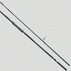 carp rods