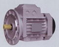 electric motor 3