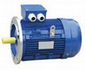 electric motor 4