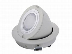 LED down light