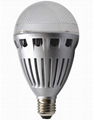 LED Bulbs 2