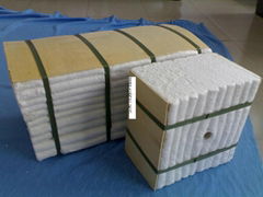 ceramic fiber module