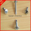 Truss Head Self drilling Screw  3