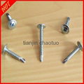 Truss Head Self drilling Screw  4