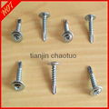 Truss Head Self drilling Screw  5