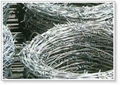 Barbed wire mesh