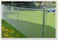 PVC Chain link fence 1